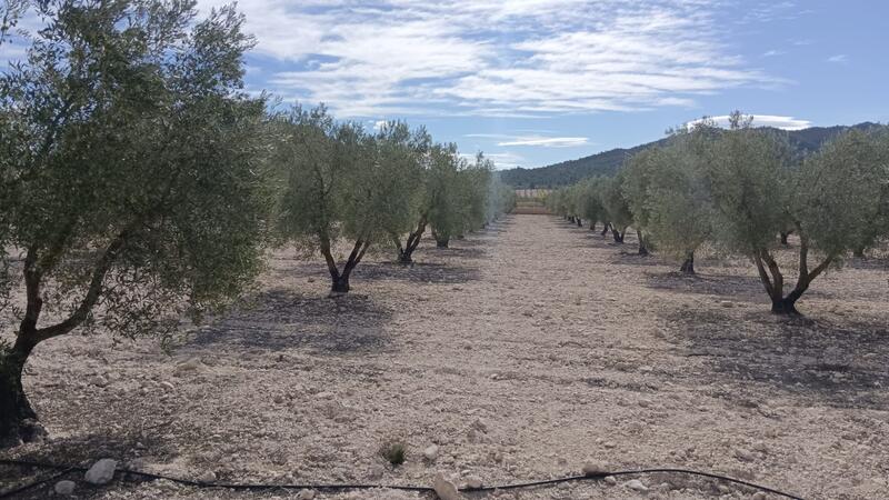 Country House for sale Country House for sale