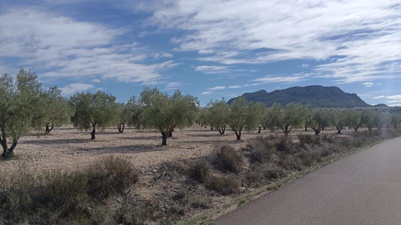 Country House for sale Country House for sale