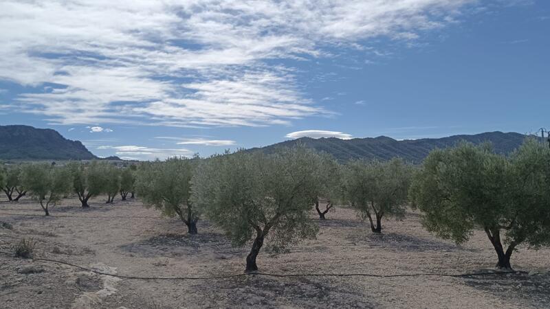 Country House for sale Country House for sale