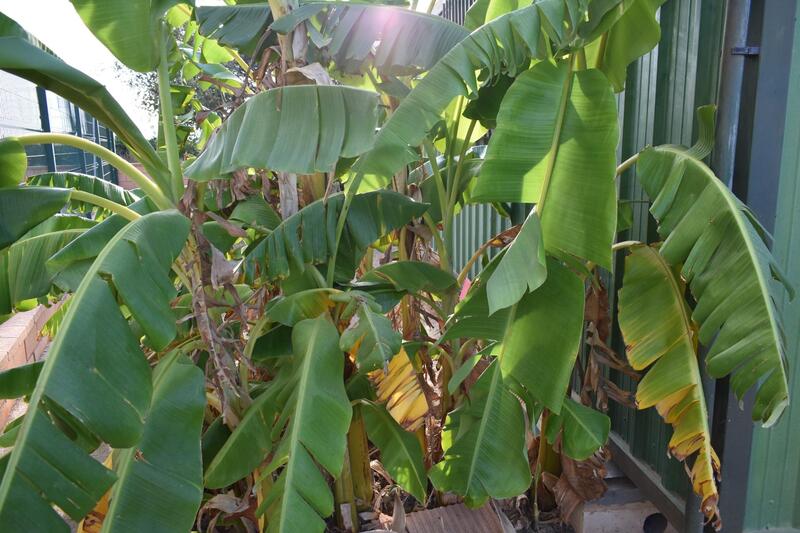 2 bedroom Country House for sale