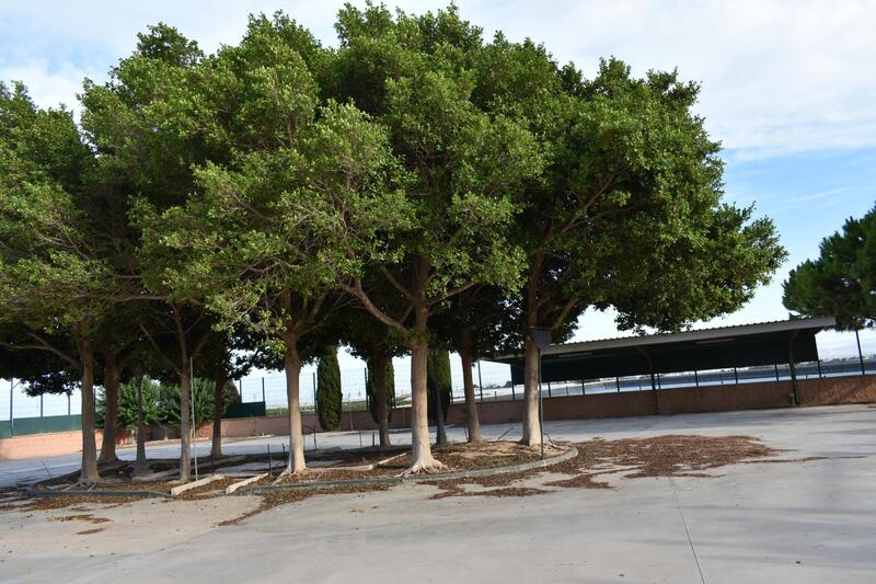 2 bedroom Country House for sale