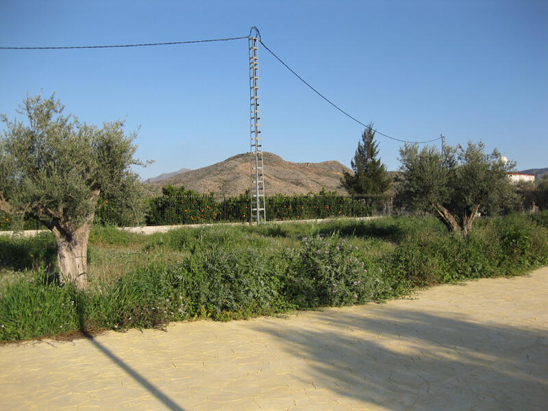 3 slaapkamer Landhuis Te koop 3 slaapkamer Landhuis Te koop