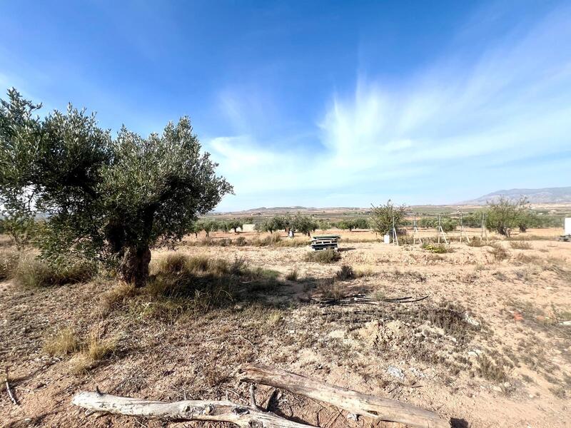 Country House for sale Country House for sale