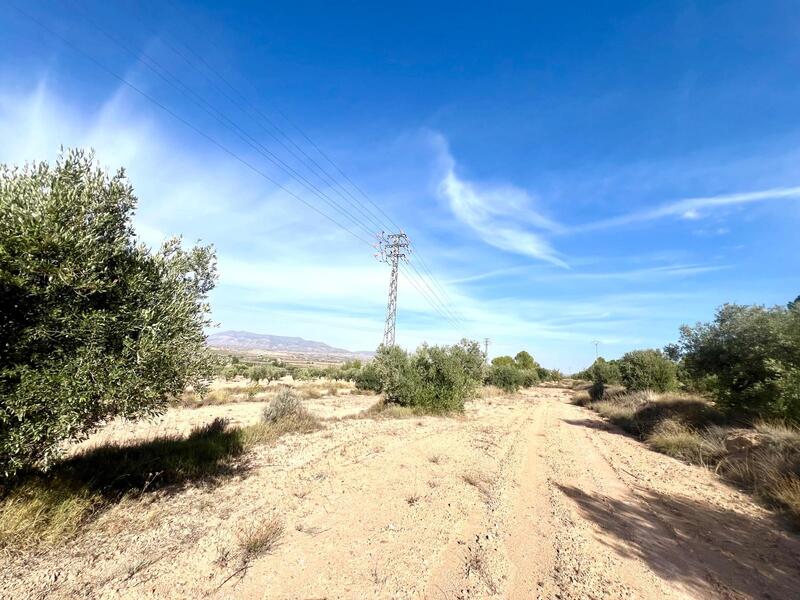 Country House for sale Country House for sale