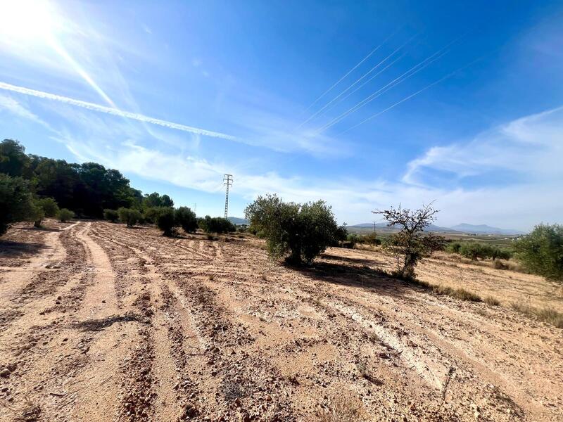 Country House for sale Country House for sale