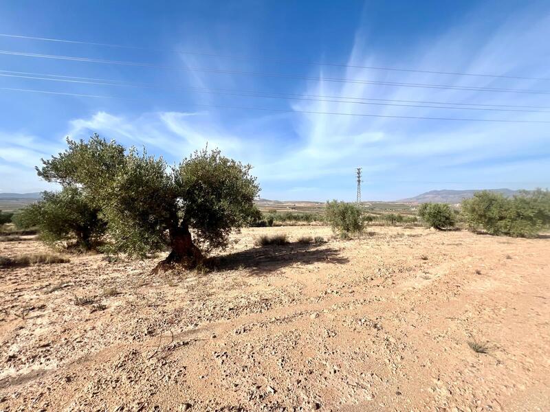 Country House for sale Country House for sale