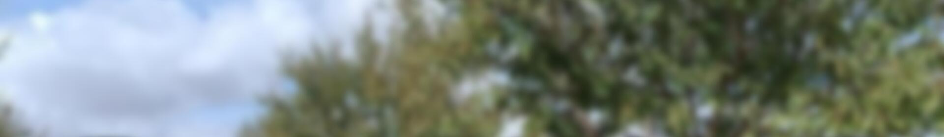 Деревенский Дом продается