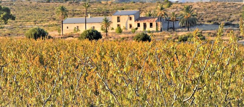 Lantställe till salu