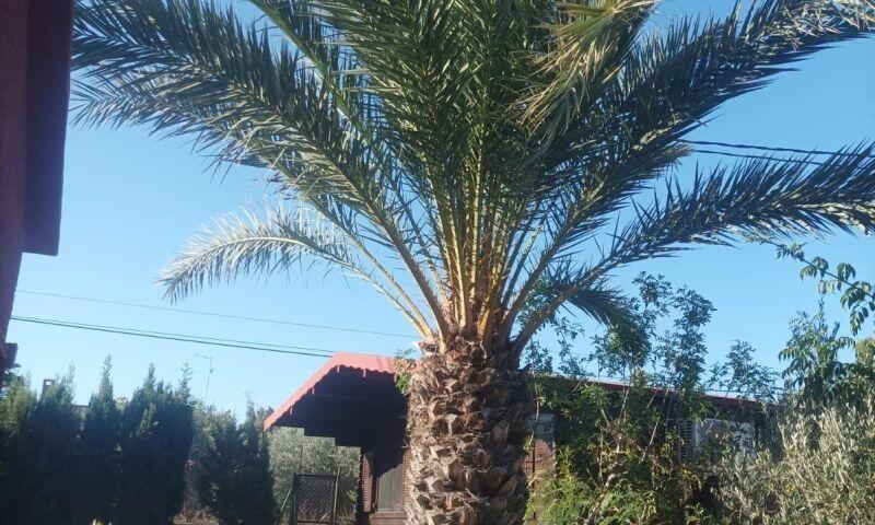 4 bedroom Villa for sale 4 bedroom Villa for sale