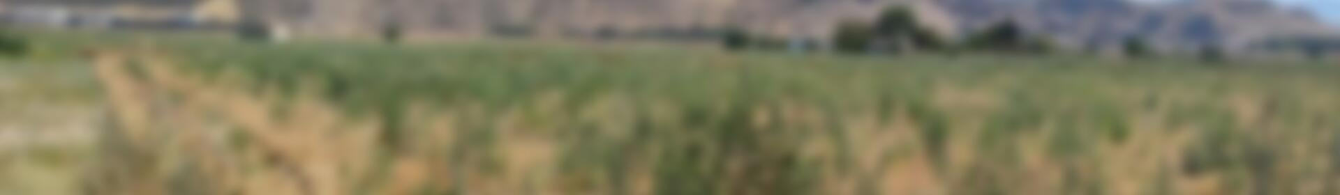 Herregård til salgs