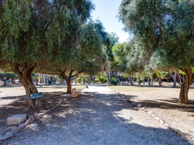 Appartement zu verkaufen