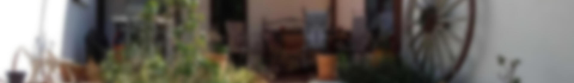 4 soverom Herregård til salgs