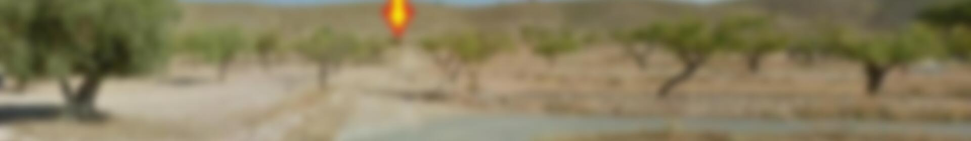 Herregård til salgs