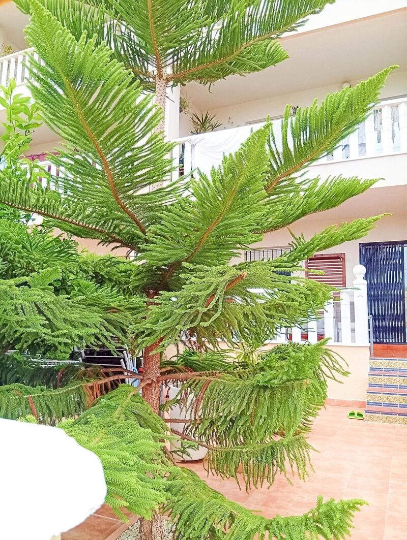 2 Cuarto Villa en venta