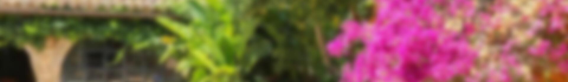 3 soverom Villa til salgs