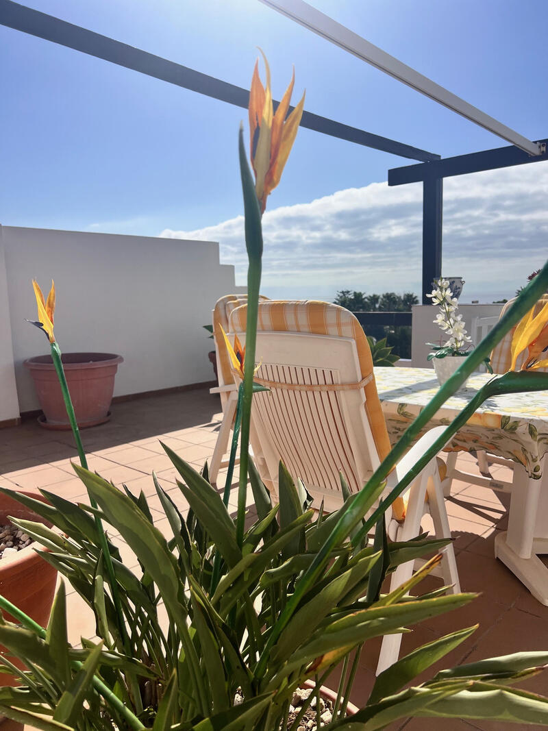 2 slaapkamer Appartement Te koop 2 slaapkamer Appartement Te koop