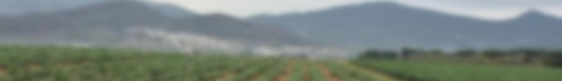 Casa de Campo en venta