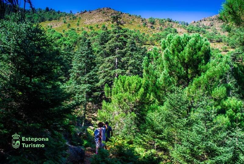 2 slaapkamer Appartement Te koop 2 slaapkamer Appartement Te koop