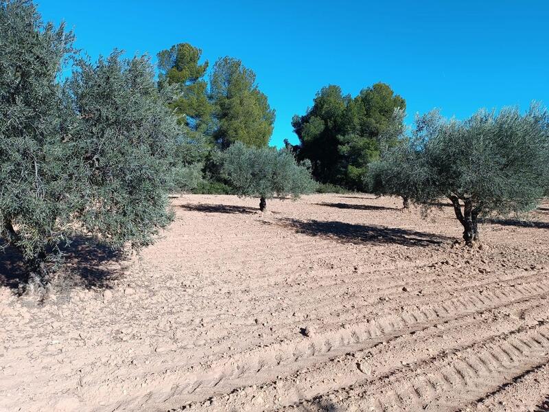 2 Schlafzimmer Landhaus zu verkaufen 2 Schlafzimmer Landhaus zu verkaufen
