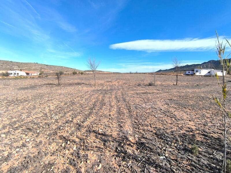 3 bedroom Country House for sale 3 bedroom Country House for sale