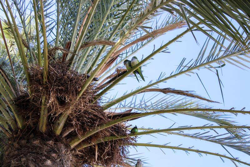 1 bedroom Villa for sale 1 bedroom Villa for sale