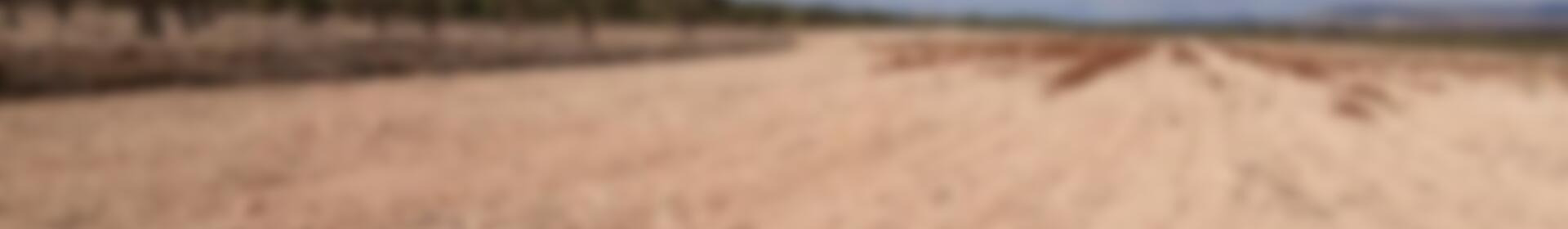 Country House for sale