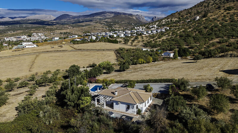 Villa for sale in Alcaucin, Málaga