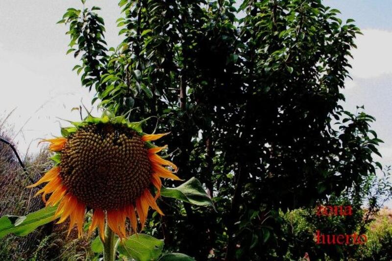 3 soveværelse Landsted til salg 3 soveværelse Landsted til salg