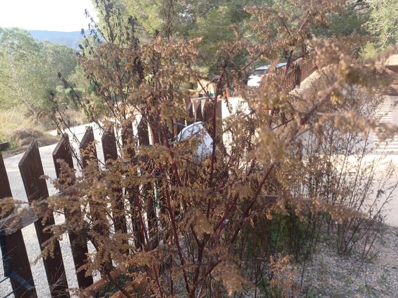 3 спальная комната Деревенский Дом продается 3 спальная комната Деревенский Дом продается