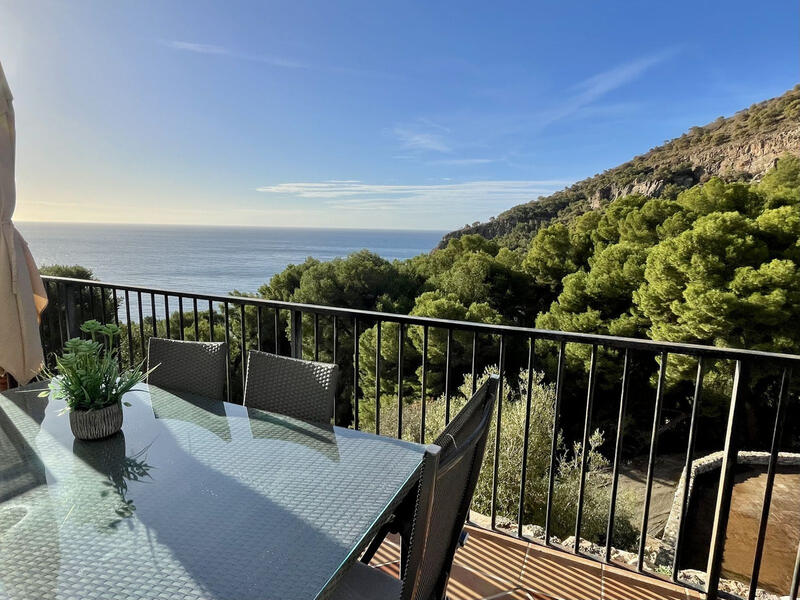 6 Cuarto Adosado en venta 6 Cuarto Adosado en venta