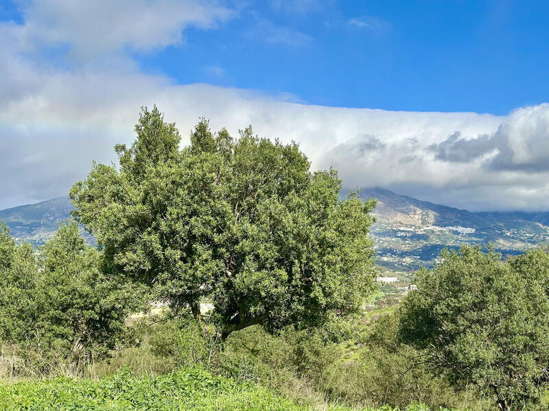 Country House for sale