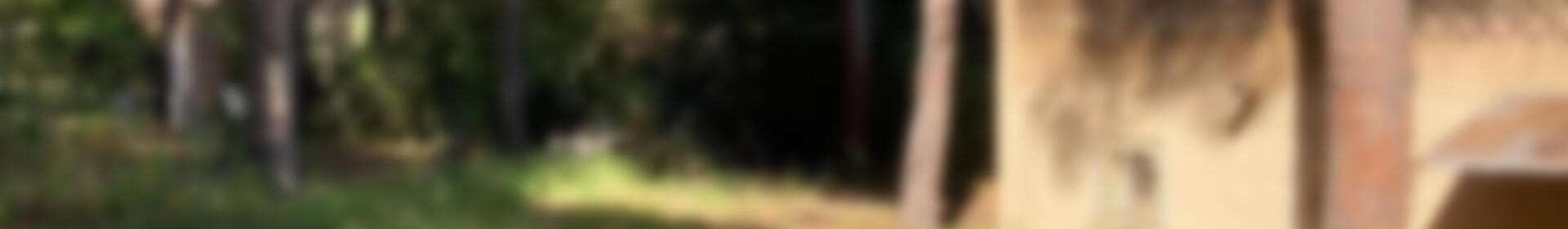 Herregård til salgs