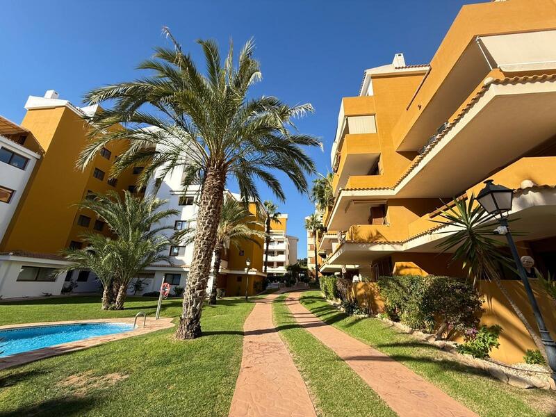 Appartement zu verkaufen in Torrevieja, Alicante