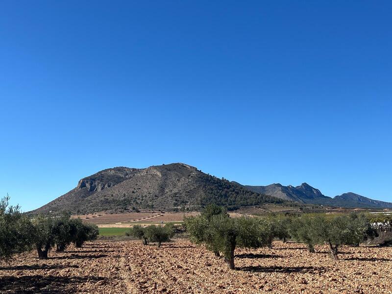Herregård til salgs i La Romana, Alicante