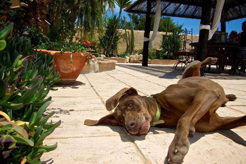 8 slaapkamer Landhuis Te koop