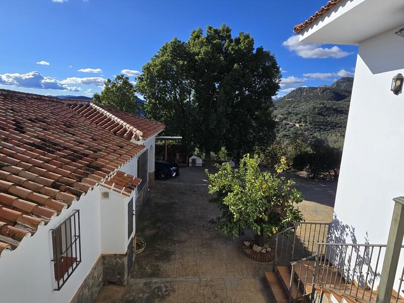 6 Cuarto Villa en venta