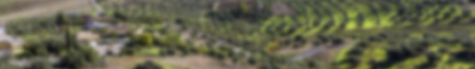 3 soverom Villa til salgs