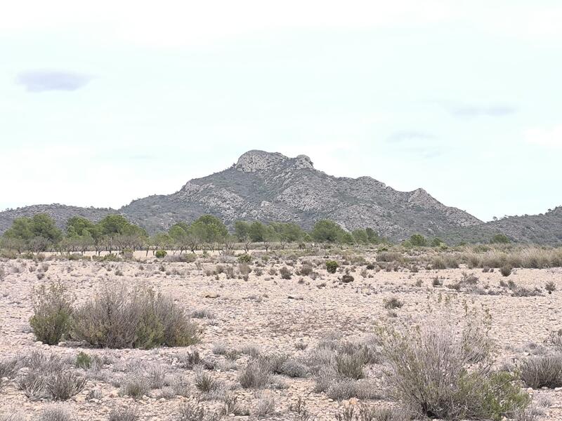 Landhaus zu verkaufen in Salinas, Alicante