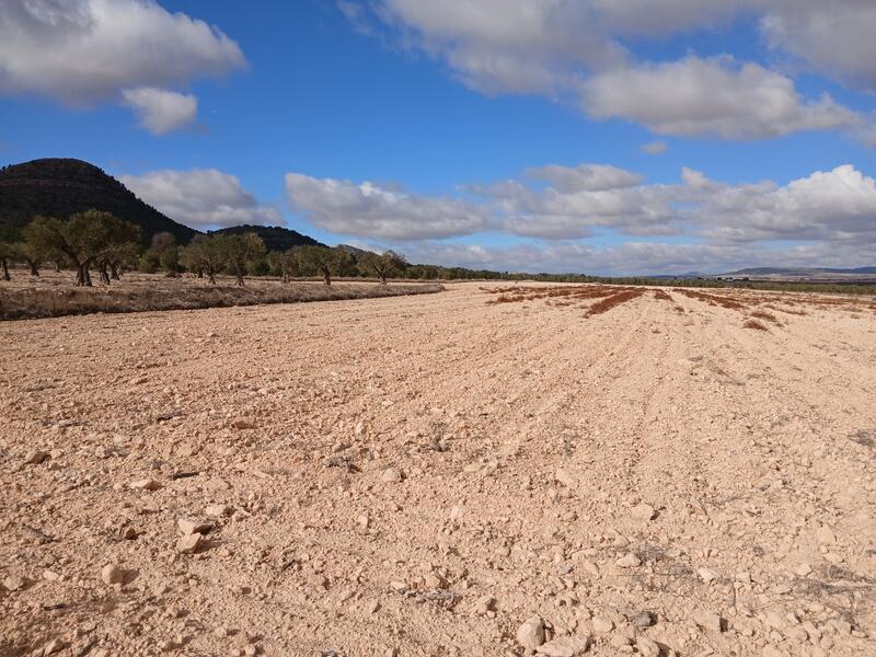 Country House for sale in Yecla, Murcia