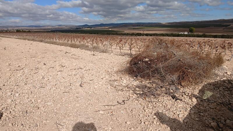 Landsted til salg Landsted til salg