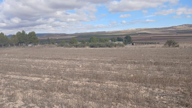 Landsted til salg Landsted til salg