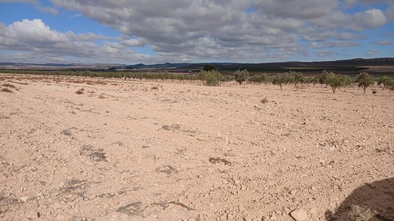 Landsted til salg Landsted til salg