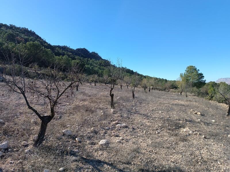 3 bedroom Country House for sale