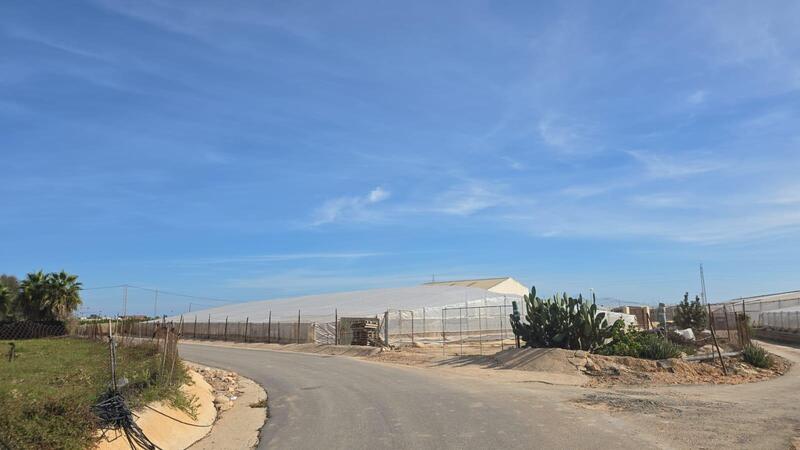 Commercial Property for sale in Pilar de la Horadada, Alicante