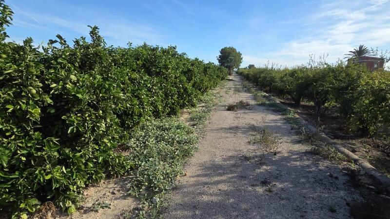 Landhaus zu verkaufen