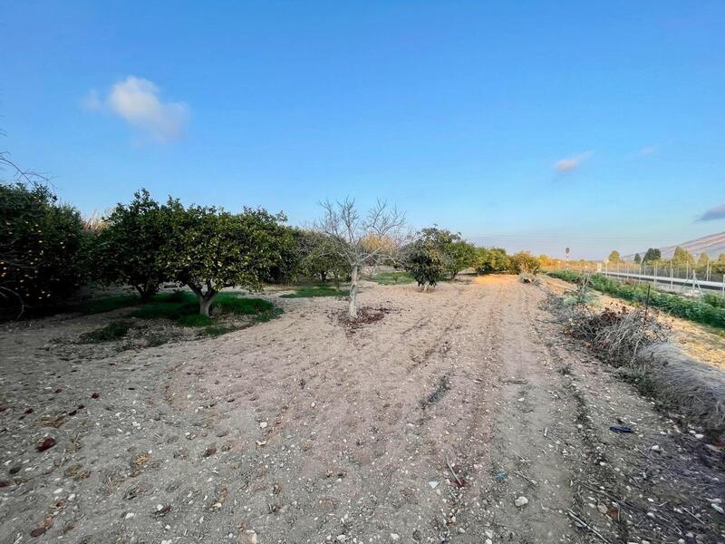 6 bedroom Villa for sale 6 bedroom Villa for sale