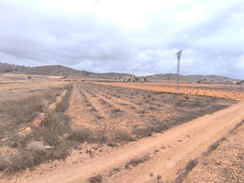 Landhuis Te koop in La Solana, Alicante