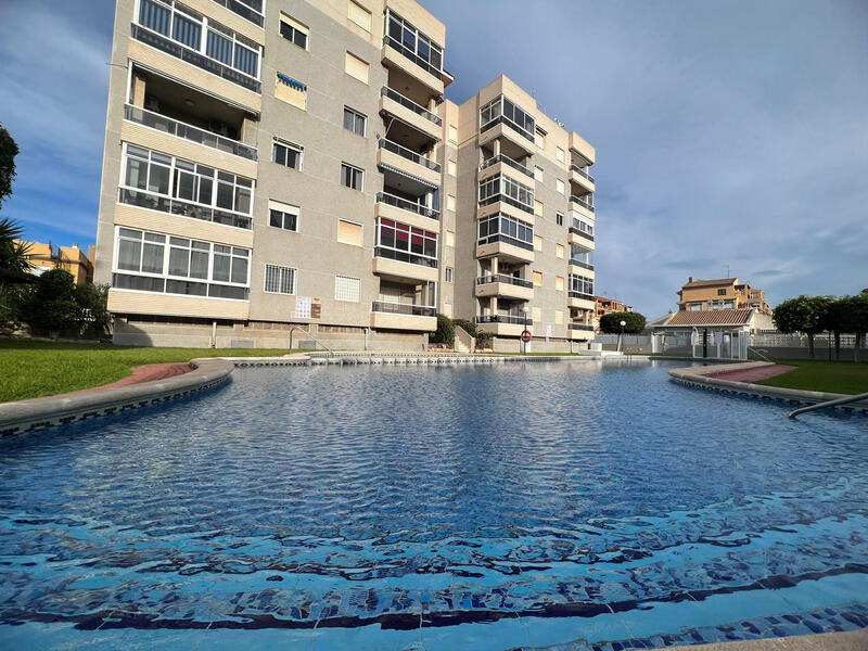 Appartement zu verkaufen in Torrevieja, Alicante
