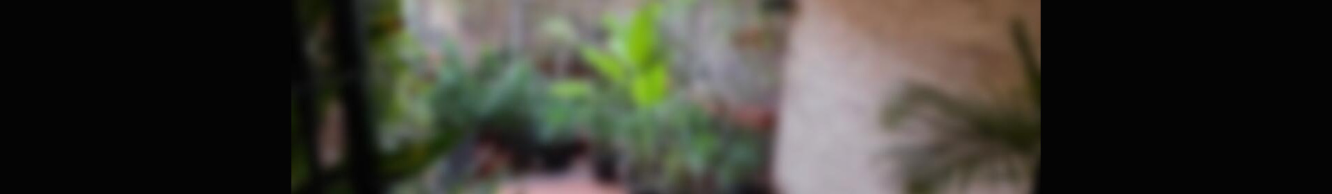 4 bedroom Duplex for sale