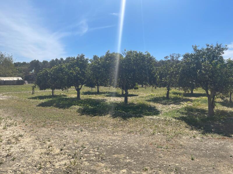 3 Schlafzimmer Villa zu verkaufen